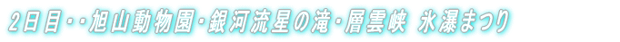 2日目・・旭山動物園・銀河流星の滝・層雲峡 氷瀑まつり