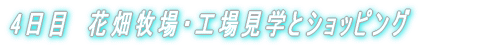 4日目 花畑牧場・工場見学とショッピング